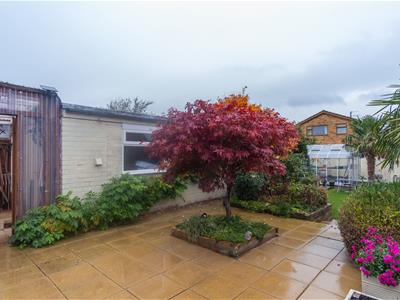 Picture 24